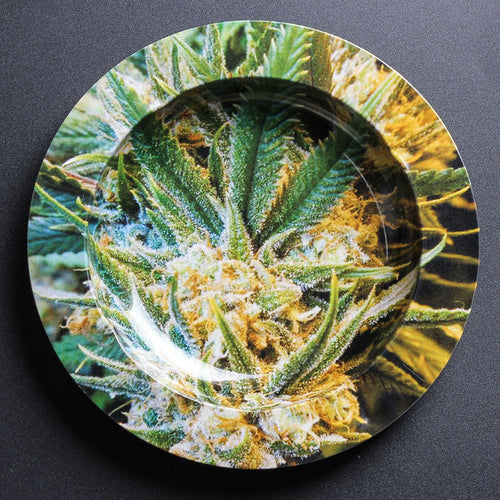 Metal Tobacco Herb Ash Tray